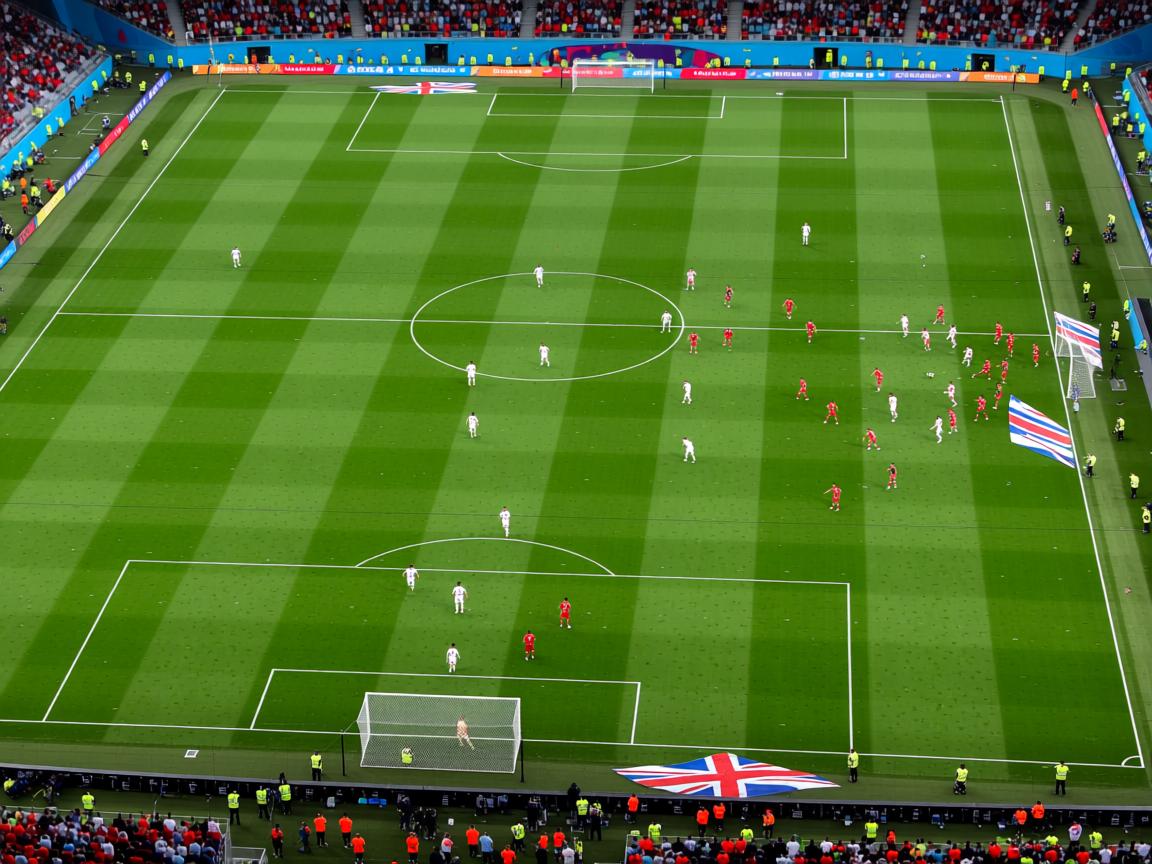 爱游戏官网充值-德国自由泳队后程加速能力突出，自由泳大师  第3张